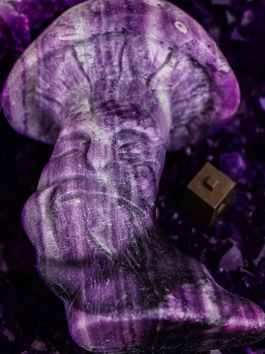 Lepiodolit svamp med udskåret ansigt